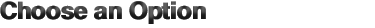 Choose an Option